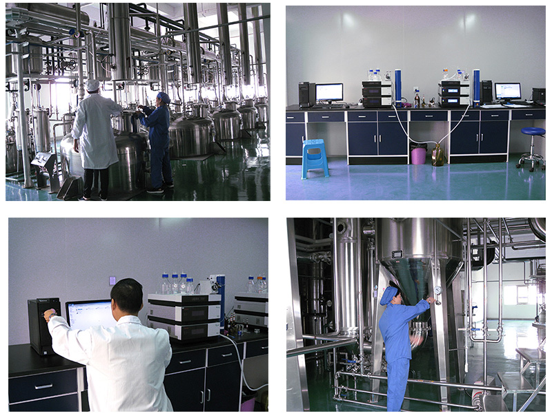 腎炎四味片 腎炎四味片